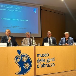 riforma disabilita 6